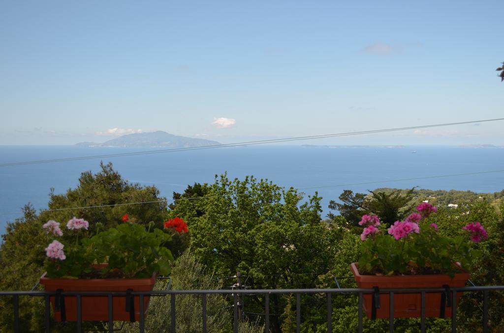 Le Ginestre Di Capri Bb & Holiday House Anacapri  Eksteriør billede