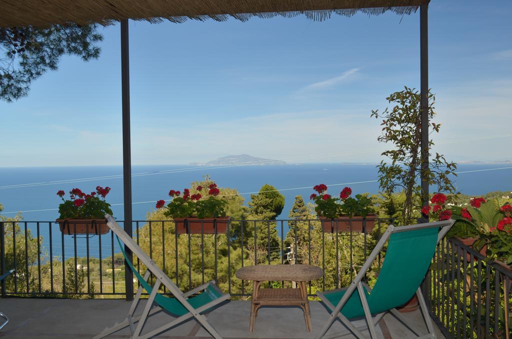 Le Ginestre Di Capri Bb & Holiday House Anacapri  Eksteriør billede