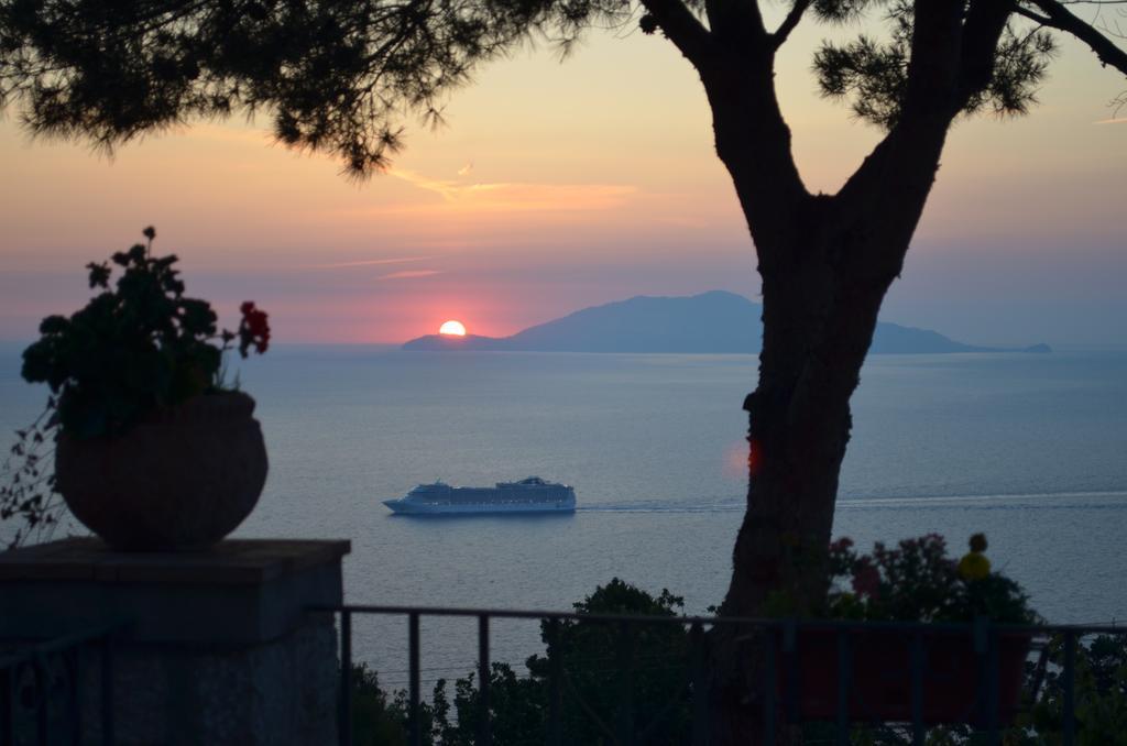 Le Ginestre Di Capri Bb & Holiday House Anacapri  Eksteriør billede