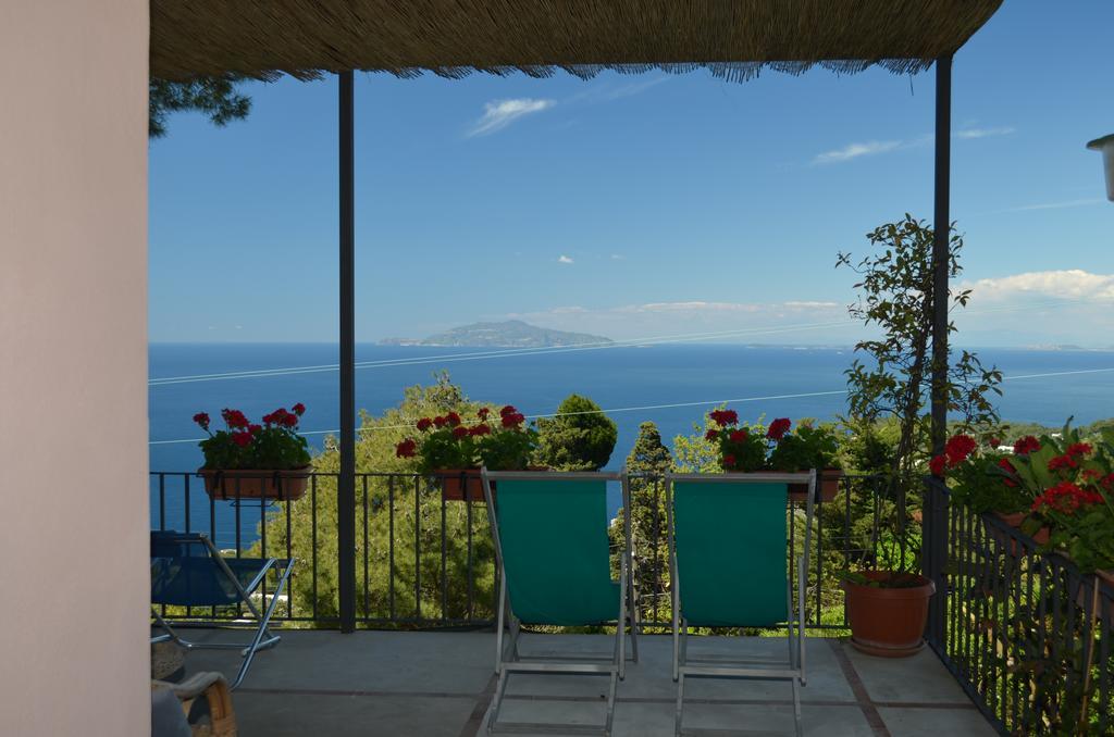 Le Ginestre Di Capri Bb & Holiday House Anacapri  Eksteriør billede