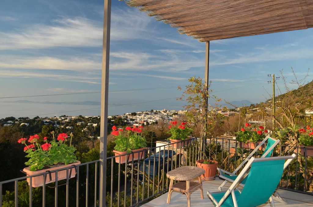 Le Ginestre Di Capri Bb & Holiday House Anacapri  Eksteriør billede