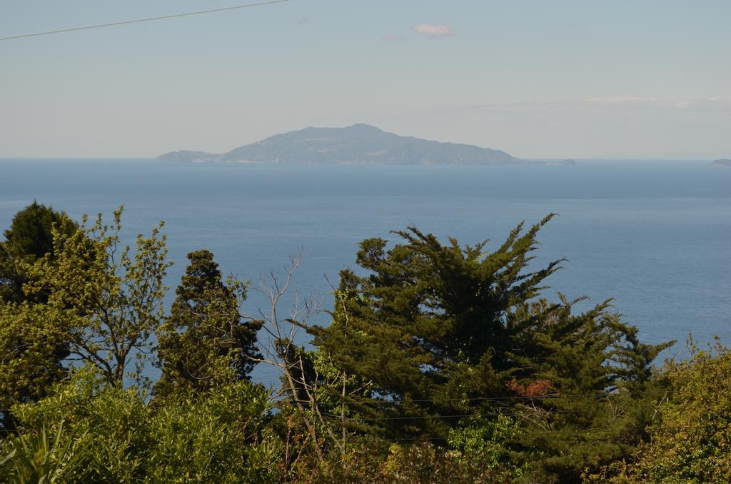 Le Ginestre Di Capri Bb & Holiday House Anacapri  Eksteriør billede