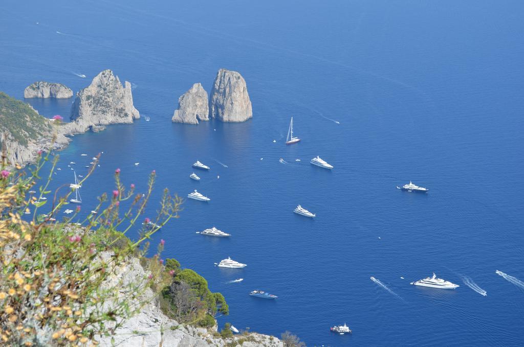 Le Ginestre Di Capri Bb & Holiday House Anacapri  Eksteriør billede