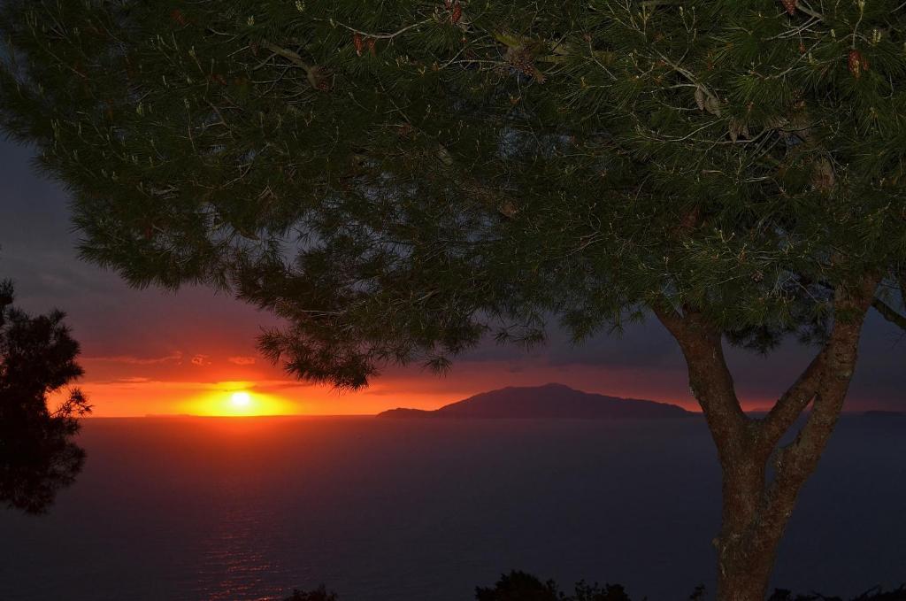 Le Ginestre Di Capri Bb & Holiday House Anacapri  Værelse billede