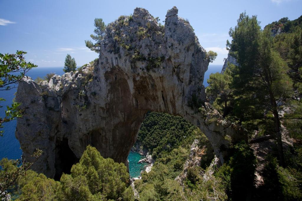 Le Ginestre Di Capri Bb & Holiday House Anacapri  Eksteriør billede