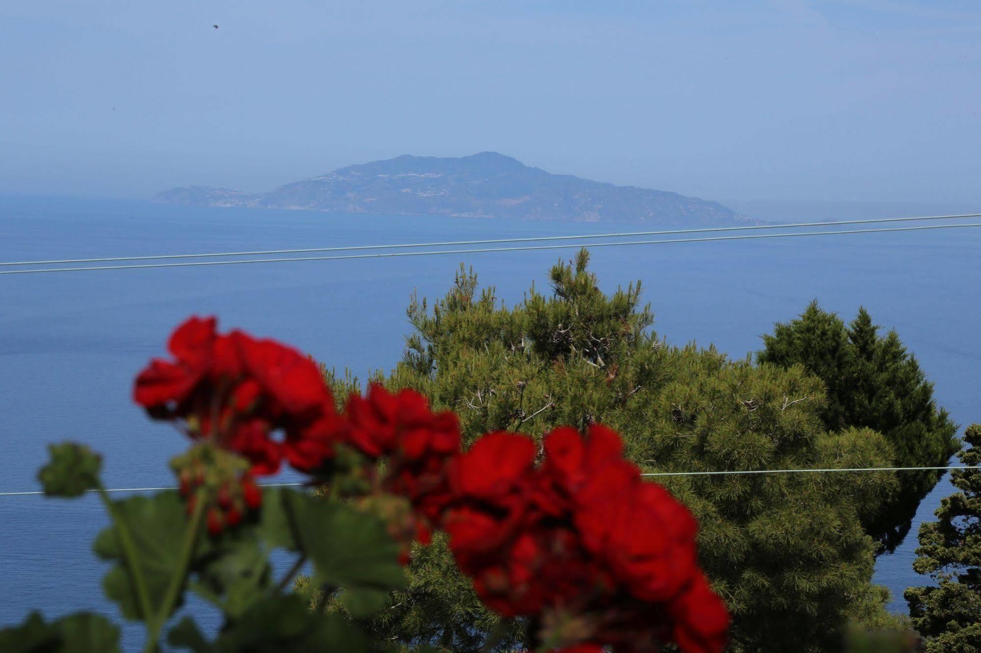 Le Ginestre Di Capri Bb & Holiday House Anacapri  Eksteriør billede