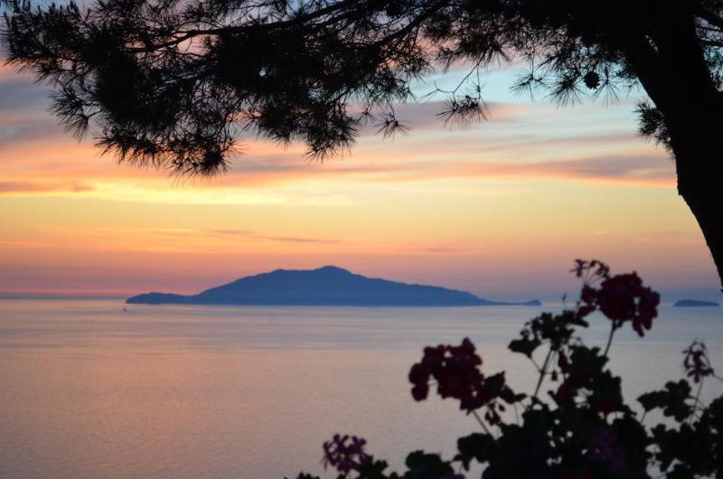 Le Ginestre Di Capri Bb & Holiday House Anacapri  Eksteriør billede
